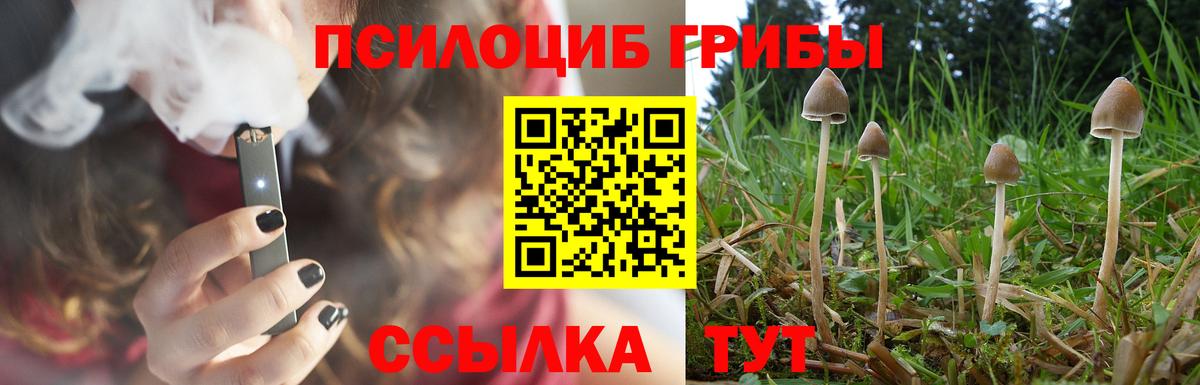 Псилоцибиновые грибы GOLDEN TEACHER Железноводск