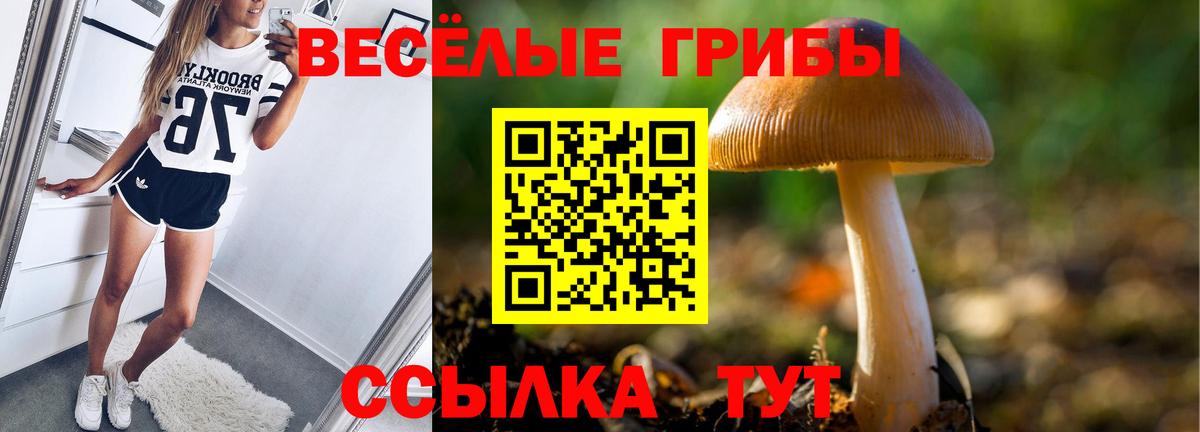 Галлюциногенные грибы GOLDEN TEACHER  как найти наркотики  Железноводск  Вход с VPN 